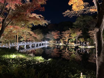 国営昭和記念公園 秋の夜散歩に投稿された画像（2023/11/21）