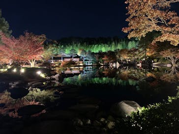 国営昭和記念公園 秋の夜散歩に投稿された画像（2023/11/21）