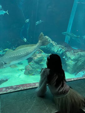 マリンワールド海の中道に投稿された画像（2023/11/21）