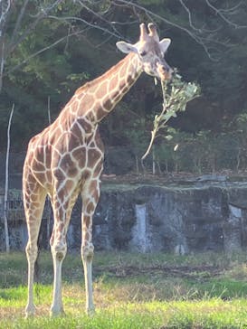 名古屋市東山動植物園に投稿された画像（2023/11/21）