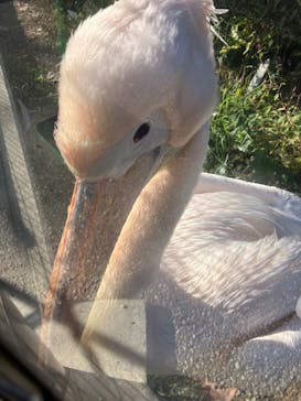 名古屋市東山動植物園に投稿された画像（2023/11/21）