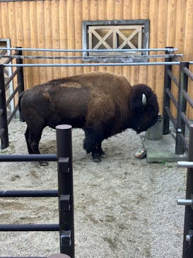 名古屋市東山動植物園に投稿された画像（2023/11/21）