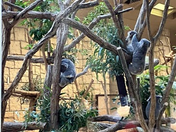 名古屋市東山動植物園に投稿された画像（2023/11/21）