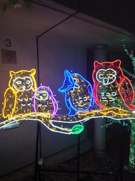 アクロス福岡イルミネーションに投稿された画像（2023/11/21）