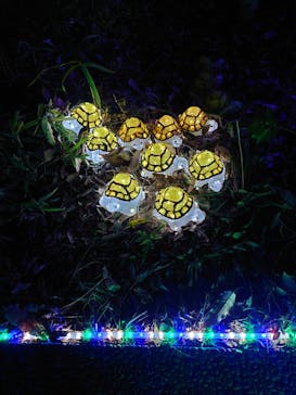 アクロス福岡イルミネーションに投稿された画像（2023/11/21）