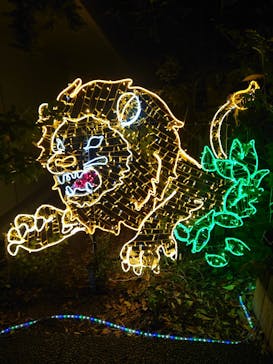 アクロス福岡イルミネーションに投稿された画像（2023/11/21）