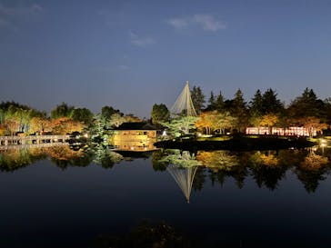 国営昭和記念公園 秋の夜散歩に投稿された画像（2023/11/21）