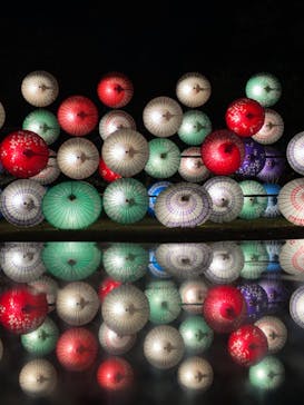 国営昭和記念公園 秋の夜散歩に投稿された画像（2023/11/21）