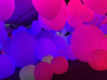 チームラボに投稿された画像（2023/11/21）