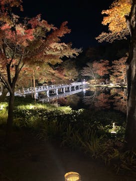 国営昭和記念公園 秋の夜散歩に投稿された画像（2023/11/21）