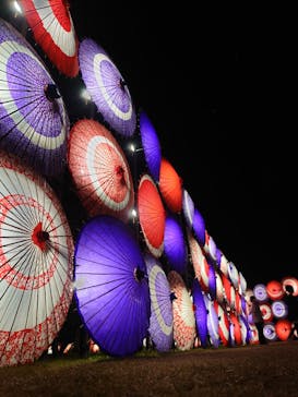 国営昭和記念公園 秋の夜散歩に投稿された画像（2023/11/21）