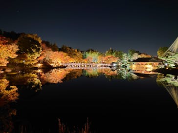 国営昭和記念公園 秋の夜散歩に投稿された画像（2023/11/21）