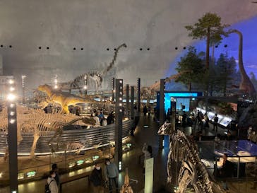 福井県立恐竜博物館に投稿された画像（2023/11/21）