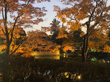 国営昭和記念公園 秋の夜散歩に投稿された画像（2023/11/21）