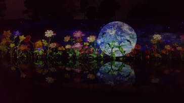 NAKED meets 二条城 2025 観月に投稿された画像（2023/11/21）