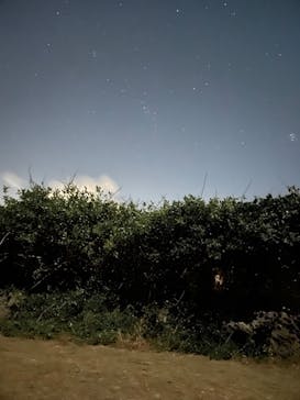 宮古島 ADVENTURE PiPi（ミヤコジマ アドベンチャー ピピ）に投稿された画像（2023/11/21）