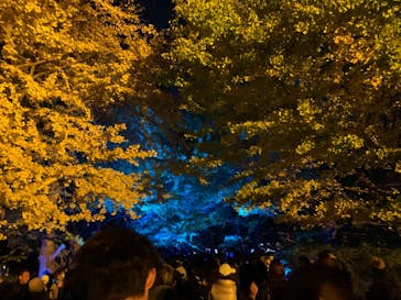 国営昭和記念公園 秋の夜散歩に投稿された画像（2023/11/21）