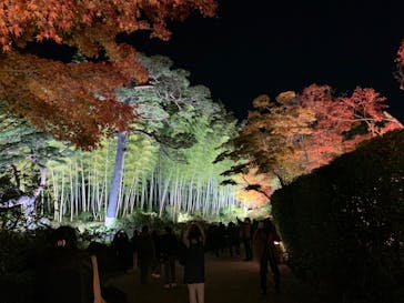 国営昭和記念公園 秋の夜散歩に投稿された画像（2023/11/21）