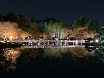 国営昭和記念公園 秋の夜散歩に投稿された画像（2023/11/21）