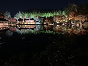 国営昭和記念公園 秋の夜散歩に投稿された画像（2023/11/21）