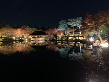 国営昭和記念公園 秋の夜散歩に投稿された画像（2023/11/21）
