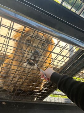 那須サファリパークに投稿された画像（2023/11/21）