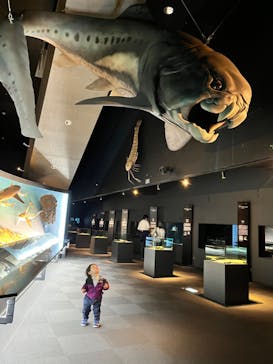 環境水族館アクアマリンふくしまに投稿された画像（2023/11/21）