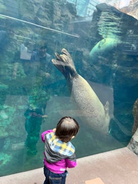 環境水族館アクアマリンふくしまに投稿された画像（2023/11/21）