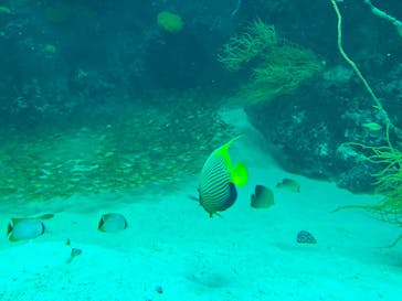 環境水族館アクアマリンふくしまに投稿された画像（2023/11/21）