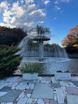 国営昭和記念公園 秋の夜散歩に投稿された画像（2023/11/21）