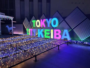 東京メガイルミに投稿された画像（2023/11/21）