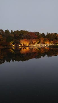国営昭和記念公園 秋の夜散歩に投稿された画像（2023/11/21）
