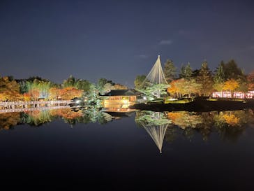 国営昭和記念公園 秋の夜散歩に投稿された画像（2023/11/22）