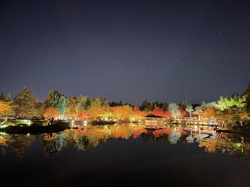 国営昭和記念公園 秋の夜散歩に投稿された画像（2023/11/22）