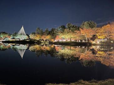 国営昭和記念公園 秋の夜散歩に投稿された画像（2023/11/22）