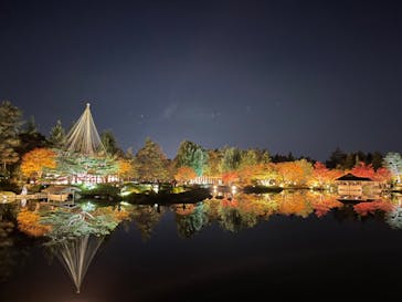 国営昭和記念公園 秋の夜散歩に投稿された画像（2023/11/22）