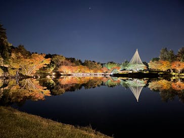 国営昭和記念公園 秋の夜散歩に投稿された画像（2023/11/22）