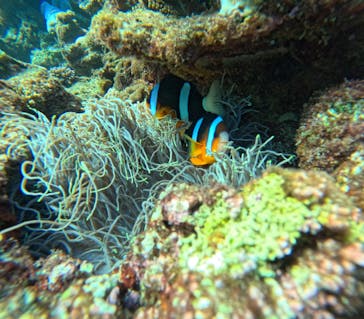 沖縄マリンサービス碧に投稿された画像（2023/11/22）