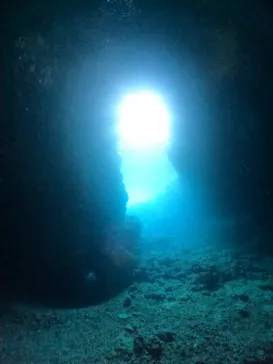 武藤潜水に投稿された画像（2023/11/22）