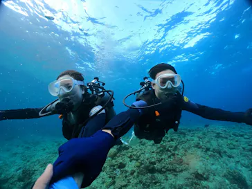 武藤潜水に投稿された画像（2023/11/22）