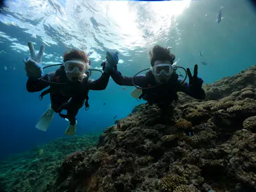 武藤潜水に投稿された画像（2023/11/22）