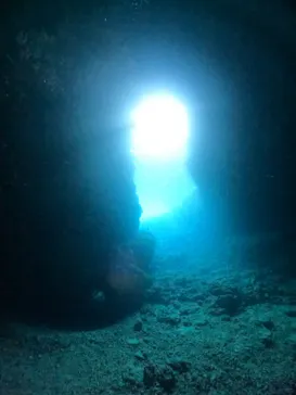 武藤潜水に投稿された画像（2023/11/22）