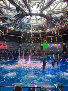 マクセル アクアパーク品川に投稿された画像（2023/11/22）