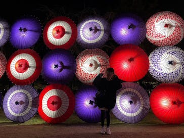 国営昭和記念公園 秋の夜散歩に投稿された画像（2023/11/22）