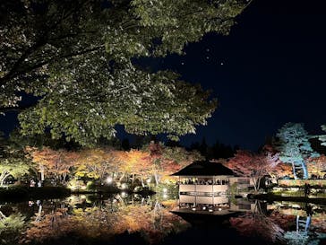 国営昭和記念公園 秋の夜散歩に投稿された画像（2023/11/22）