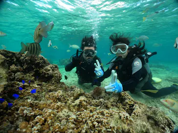 武藤潜水に投稿された画像（2023/11/22）