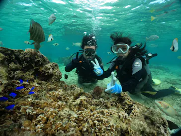 武藤潜水に投稿された画像（2023/11/22）