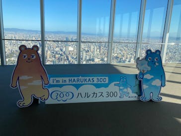 ハルカス300(展望台)に投稿された画像（2023/11/22）