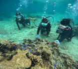 沖縄マリンサービス碧に投稿された画像（2023/11/22）