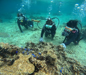 沖縄マリンサービス碧に投稿された画像（2023/11/22）